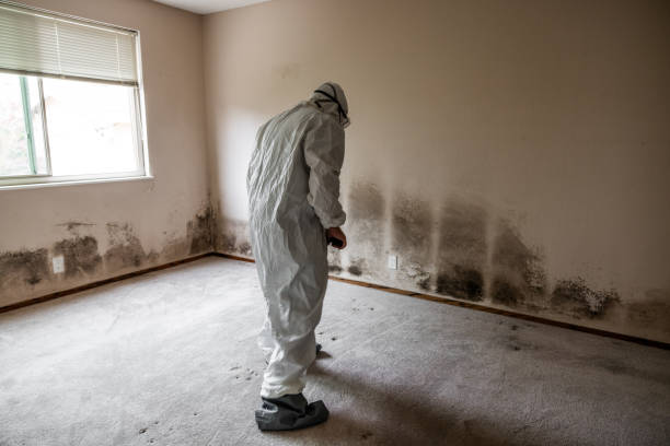 Crawl Space Mold Removal in Goodlettsville, TN
